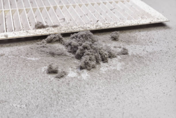 Best Affordable Duct Cleaning Services  in Peru, IN